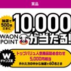 Wチャンスもアリ！10,000WAON POINTが当たる投票キャンペーン