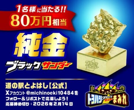 80万円相当の純金ブラックサンダーが当たる超豪華Xキャンペーン