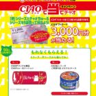 JCBギフトカード 3,000円分 / クッション / CIAO缶シリーズ 1ケース