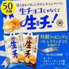 生・チー オリジナルギフトBOXが50名様に当たるXキャンペーン