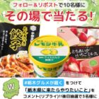 栃木グルメセット