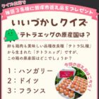 【福岡県】飯塚市のふるさと納税人気返礼品「テトラエッグ」が当たるLINEキャンペーン