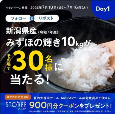 新潟県産 みずほの輝き 10kg