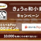 えらべるPay 500ポイント