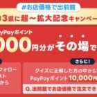 PayPayポイント 1,000円分