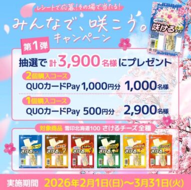 その場で抽選!QUOカードPayが3,900名様に当たるレシートキャンペーン