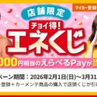 えらべるPay 最大5,000円相当