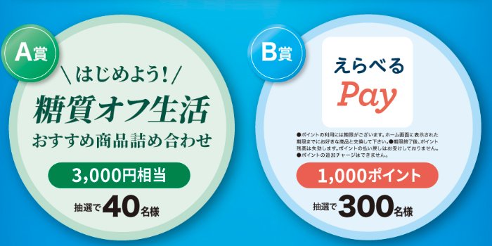 糖質オフ生活おすすめ商品セットやえらべるPayが当たるクローズドキャンペーン