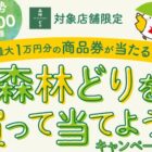 【対象店舗×森林どり】商品券や森林どり詰め合わせなどが当たるキャンペーン