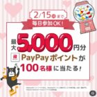 PayPayポイント 最大5,000円分