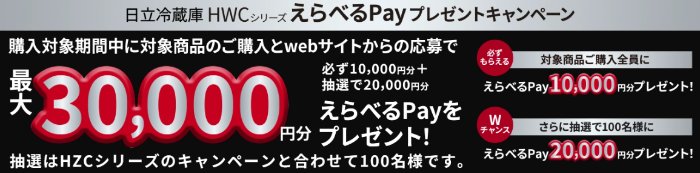 全プレ！最大30,000円分のえらべるPayがもらえる日立のお得なキャンペーン