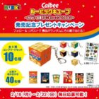 Calbeeルービックキューブ / お菓子詰め合わせ