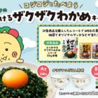 オリジナルごはん茶碗やリケン商品詰め合わせが当たるクローズドキャンペーン