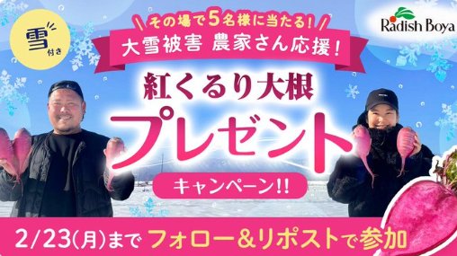 雪付き紅くるり大根が5名様にその場で当たるXキャンペーン