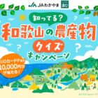 QUOカードPay 10,000円分