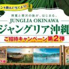 ジャングリア沖縄 1DAYチケット / オリオン ザ・ドラフト 1ケース