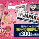 オリジナルフェイスタオル&ミニVメガホンセットが当たるガリガリ君購入キャンペーン