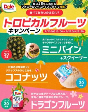 ドールのトロピカルフルーツ 1ケースが当たる毎日応募Xキャンペーン
