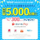 えらべるPay 300ポイント