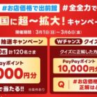 PayPayポイント 1,000円分