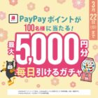 PayPayポイント 最大5,000円分