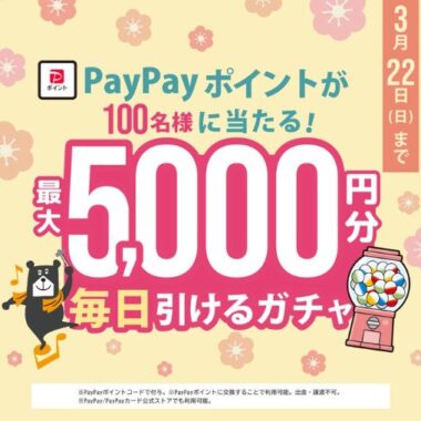 PayPayポイント最大5,000円分が100名様に当たるLINEキャンペーン