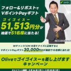 VポイントPayギフト 51,513円分