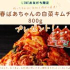 【福岡県】飯塚市のふるさと納税人気返礼品「春ばあちゃんの白菜キムチ」が当たるLINEキャンペーン