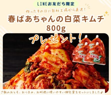 【福岡県】飯塚市のふるさと納税人気返礼品「春ばあちゃんの白菜キムチ」が当たるLINEキャンペーン
