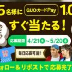 QUOカードPay 1,000円分
