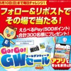 えらべるPay 500ポイント