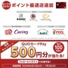 QUOカードPay 500円分