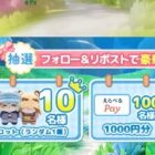 えらべるPay 最大1,000円分 / 公式グッズ