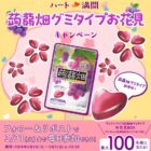 蒟蒻畑グミタイプが100名様に当たる毎日応募Xキャンペーン
