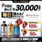 えらべるPay 最大100ポイント