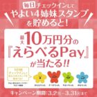 えらべるPay 最大10万円分
