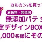 無添加パテ 全6種入りBOX