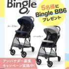 ベビーカー アンバサダー