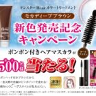 ポンポン付きヘアマスカラが最大500名様に当たるレシートキャンペーン