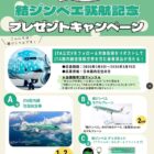 JTA国内線 往復航空券 / 結ジンベエグッズ