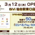 えらべるPay 500円分
