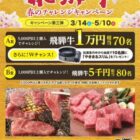 飛騨牛 1万円相当 / やきまるスリム / 飛騨牛 5千円相当
