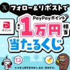PayPayポイント 最大1万円相当