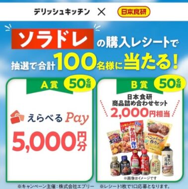 えらべるPayや日本食研　商品セットが当たるレシートキャンペーン