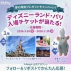 ディズニーランド パリ 1デイ・チケット / レミーぬいぐるみ