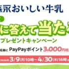 PayPayポイント 3,000円相当