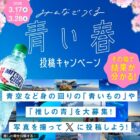 えらべるPay 100ポイント