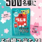 森永製菓 大粒ラムネ引換券