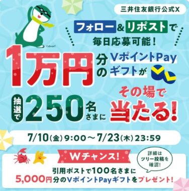 VポイントPayギフト 10,000円分