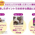 カルカン パウチ / オリジナル愛猫キーホルダー / メモリアルフォト撮影チケット